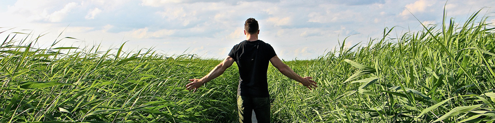 Man standing alone in a field